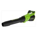 Аккумуляторная воздуходувка Greenworks GD40BG3 (без акк, бкз з/у) Аккумуляторная воздуходувка Greenworks GD40BG3 (без акк, бкз з/у)