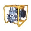 Мотопомпа бензиновая Robin-Subaru PTG310 Мотопомпа бензиновая Robin-Subaru PTG310