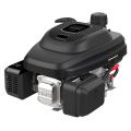 Двигатель бензиновый EVOline XP 225 AE Двигатель бензиновый EVOline XP 225 AE