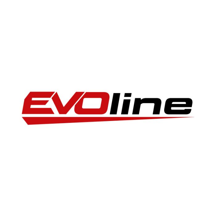 Двигатель бензиновый EVOline GB 620 E (1T90QX621EVO)