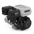 Двигатель бензиновый EVOline GB 225 (1T90QW257EVO) Двигатель бензиновый EVOline GB 225 (1T90QW257EVO)